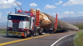 Biggest Trucks and Heavy Equipment Machines Working At Another Level