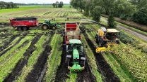 Fighting The Mud with a New Holland FR550 | 2x John Deere 6R with Dezeure | Timmerman