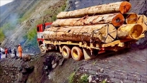 Dangerous Idiots Heavy Climber Logging Wood Truck Skill Driving, Fastest Extreme King Truck Operator