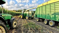 Chopping Corn So We Can Lay Gravel!