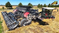 Grain harvest with NEXAT - The system one for all swap body vehicle with 1100hp & 15.2m MacDon