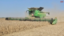 50ft JOHN DEERE HD50R Draper Harvesting Soybeans