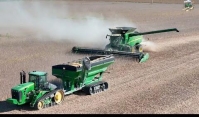 Soybean Harvest in Indiana | West Central Indiana