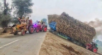 JCB Tractor pulling heavy load | farmers heavy transport for sugarcane