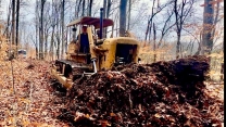 Antique Bulldozer vs. Forest: The Ultimate Trail-Clearing Adventure