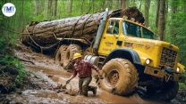 Extremely dangerous monster wood truck driving skills