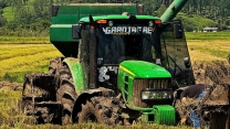 RICE HARVEST