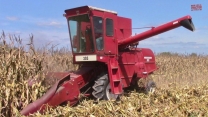 CLASSIC COMBINES HARVESTING CORN