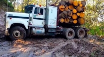 POWERFUL TRUCKS Freightliner, Kenworth, Peterbilt, International, STUCK in severe off road condition