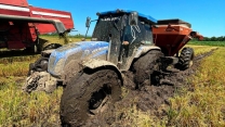 PHOTOS OF THE RICE HARVEST