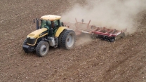 First Field Work 