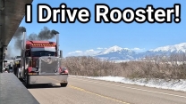 I Drive Gentry & Son's Rooster Over Wolf Creek Pass!